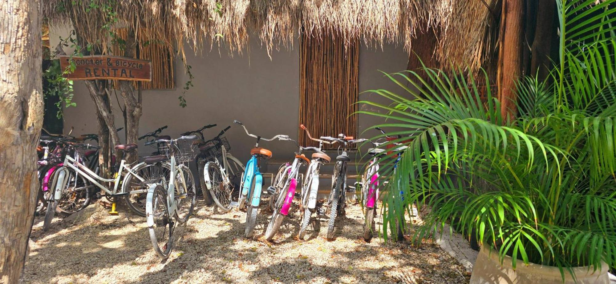 Hotel Kin Tulum Jungle Deluxe Esterno foto